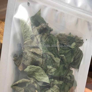 Venta al por mayor seca Piper Lolot hoja para alimentos aromatizante sola especia hierba Lolot Piper extracto para té OEM bolsa embalaje a granel - Product Image 6