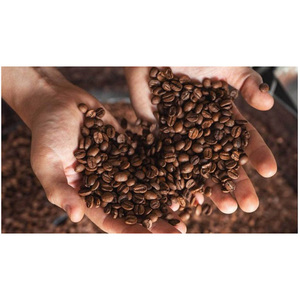Café tostado de gran calidad con sabor a café, 100% natural, productos deliciosos, granos de café robustos tostados suavemente. - Product Image 4