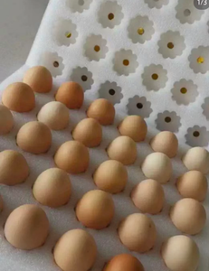Material de Relleno Aislante para Cadena de Frío, de Algodón Perlado EPE de Grado Alimenticio - Product Image 6