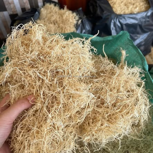 สาหร่ายกราซิลารีอาธรรมชาติ KMI – เหมาะสำหรับการผลิตวุ้นและอาหาร - Product Image 5
