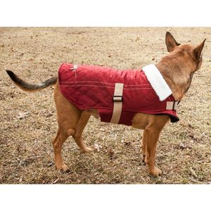 Abbigliamento Originale per Animali Domestici Sherpa Bark Designer, Cappotto alla Moda per Cani - Product Image 3
