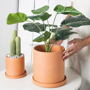 Pots à plantes en terre cuite longs, en forme de cactus et de fleurs, pour la maison, avec plateau, pots respirants et écologiques - Product Image 5