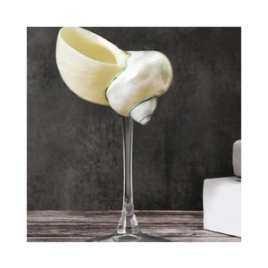 Verres décoratifs en coquillages naturels faits à la main, style côtier, vente en gros - Product Image 3