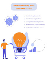 Desarrollo de SaaS de Marca Blanca de Alta Demanda para Optimizar Estrategias de Marketing Eficaces, Software SaaS