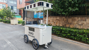 Carrito Congelador Móvil para Helados y Alimentos, Carro de Venta Ambulante de Gelato con Congelador, ¡Oferta Caliente! - Product Image 2