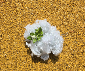 Fibra Hueca Conjugada HCS de 7Dx51mm, Sin Silicona, 100% Poliéster, Antiestática, Reciclable, Material de Relleno para Hilado - Product Image 5