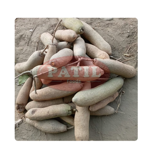 Extrait de Kigelia Africana standardisé en poudre Patil Foods 10:1 20:1 – Approvisionnement en vrac d'extraits végétaux - Product Image 1