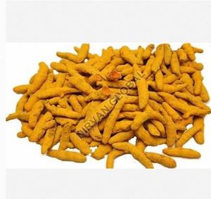 Dedos de Cúrcuma Natural de la India al por Mayor: Suministro para Producción de Masala de un Proveedor de la India al Mejor Precio - Product Image 2