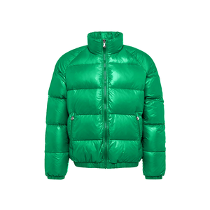 White Duck Jacket Men Short Shiny Thickened Outdoor Windbreaker Overcoats Hooded Collar Plus Size Zipper Nylon Winter - Product Image 2