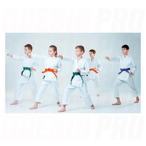 Uniforme de Karate para Niños y Adultos, Ligero, Pantalones y Chaqueta Gi para Estudiantes, Entrenamiento de Artes Marciales, Práctica y Competencia, con Cinturón Gratis - Product Image 5