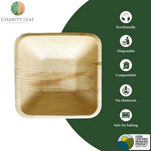 Ciotola Quadrata Monouso in Foglia di Palma Naturale da 4 Pollici - Product Image 5