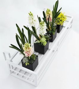 Support de plante suspendu rectangulaire en plastique blanc pour fleurs et plantes vertes, utilisation en jardin, design moderne et minimaliste - Product Image 1