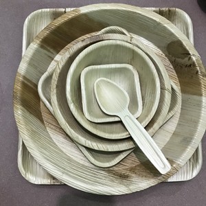 [MEILLEURES VENTES] |   Assiettes jetables biodégradables en feuilles de palmier de 10 pouces, lot de 50, pour camping, fête, Vietnam - Product Image 4