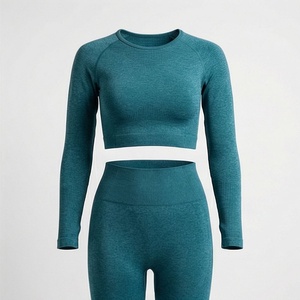 Vêtements de sport sans couture pour femmes, ensemble de tenue de sport, vêtements de fitness, ensemble de yoga, vêtements de sport athlétiques pour femmes, vêtements de sport - Product Image 1