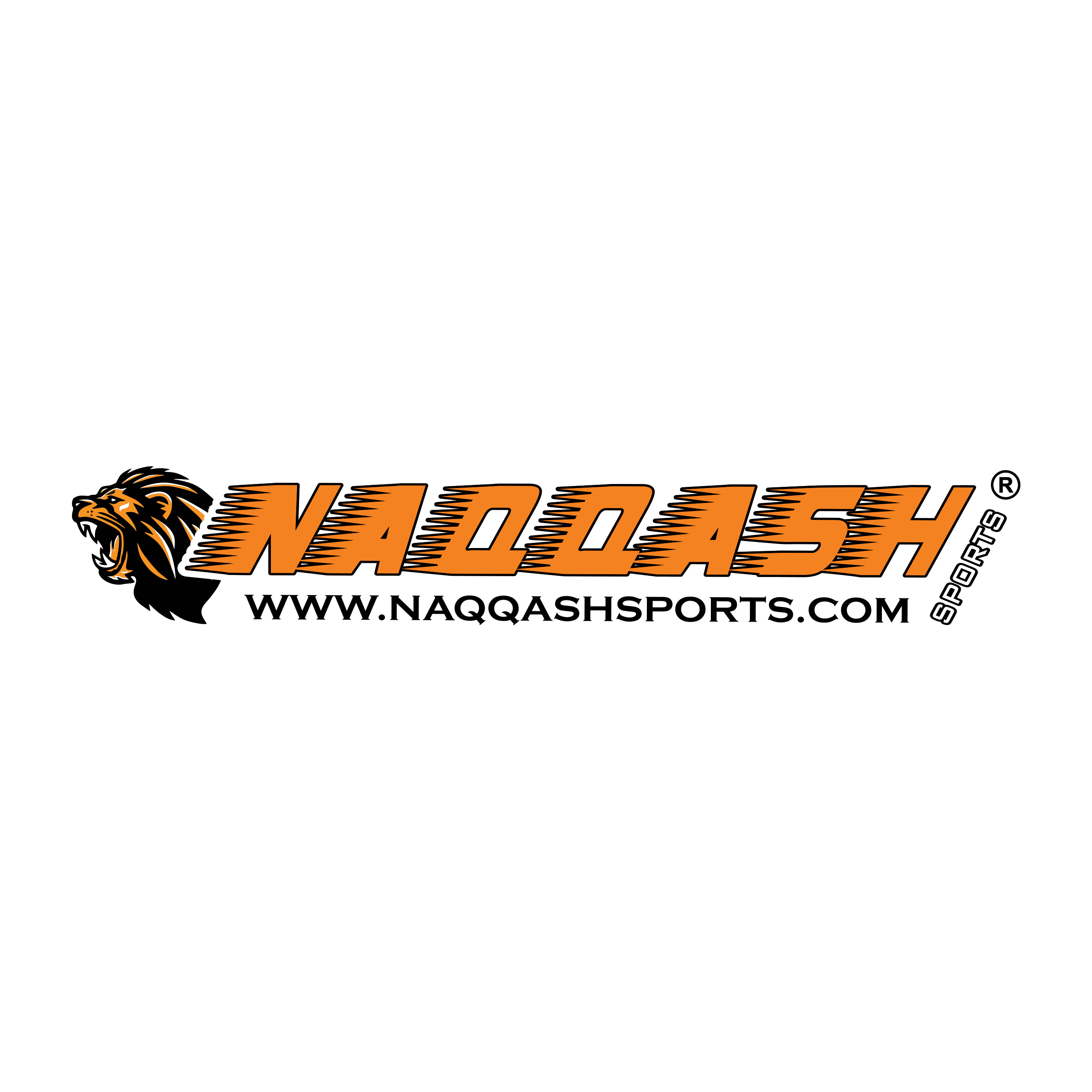 NAQQASH SPORTS logo