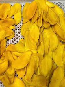 Paquete de Mango Seco Exótico con Chile, Mango Seco Picante Gratis con Chile, Snack de Fruta Vegano Premium, Sin Gluten, Sin OMG - Product Image 2