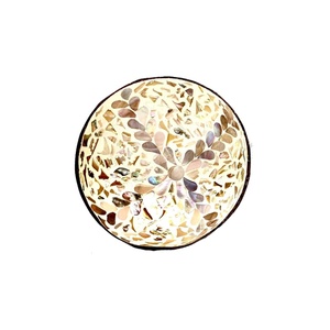 Bols de noix de coco fabriqués à la main du Vietnam de haute qualité couleur personnalisée jetable bol à salade décoratif sculpté fruits motif cuillère - Product Image 4