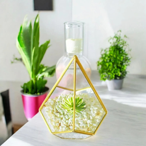 Large Size Diamond Shape Terrarium Tempered Glass with Gold Color Metal Frame for Plants Home Decoration Items Crystal <b>Vase</b> - Product Image 5