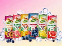 Premium vers fruit met pulp, smaakvolle watermeloen sap RTD 250ML blik OEM Private Label voor distributeurs & merkbezitters