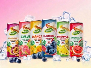 Jugo de Sandía Premium con Pulpa, Bebida Lista para Beber en Lata de 250 ml, OEM, Marca Privada para Distribuidores y Propietarios de Marcas - Product Image 6