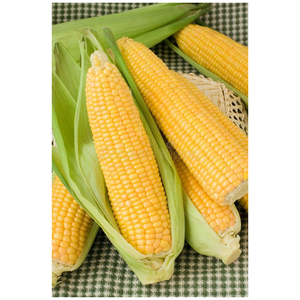 Granos de maíz amarillo secos 100% puros y naturales de la mejor calidad al mejor precio al por mayor - Product Image 2