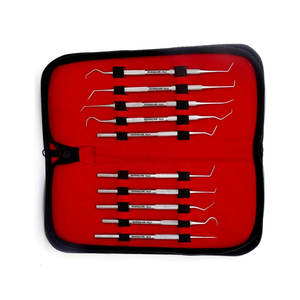 ชุดอุปกรณ์ทำความสะอาดฟันระดับมืออาชีพ ชุดดูแลสุขภาพช่องปาก สำหรับขจัดคราบพลัค หินปูน และคราบหินสะสม  ทำจากสแตนเลสสตีล - Product Image 2