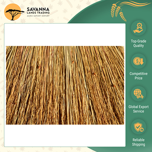 Última Llegada de Stock, Escoba de Fibra con Mango de Madera de Calidad Excepcional y Cerdas Duras, Disponible para la Venta a un Precio de Mercado Razonable - Product Image 4