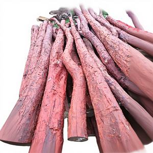 ไม้จันทน์แดง (Pterocarpus Santalinus) เกรด AA คุณภาพพรีเมียม สำหรับใช้ในอุตสาหกรรม ยี่ห้อ CRADLE of LIFE จากอินเดีย - Product Image 4