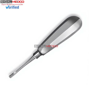 Élévateur apical droit de 6 pouces # Instrument d'extraction dentaire 301 en acier inoxydable, élévateur luxateur pour l'extraction des racines dentaires - Product Image 3