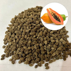 Wholesale sun dry edible <b>seed</b> competitive price high quality <b>red</b> <b>lady</b> <b>papaya</b> <b>seeds</b> Vietnam supplier - Product Image 6