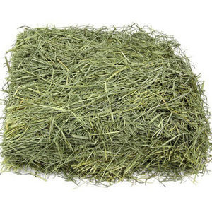 Heno de Alfalfa para Alimentación Animal, Heno de Timothy / Pellets de Heno de Alfalfa / Alfalfa en Fardos de la Mejor Calidad Superior - Product Image 1