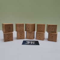 Ensemble de blocs d'apprentissage en bois de qualité supérieure, chiffres de 0 à 9, pour enfants, style Montessori, jouet éducatif, bois de hêtre non toxique, carré
