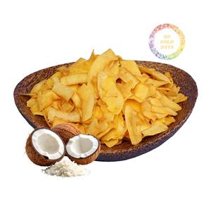 Direct Factory Price Roasted Coconut Slices Superior Crunch for USA Healthy Snack Market Wholesale Cheap Bulk Price - Product Image 2