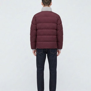 Chaqueta Acolchada Moderna para Hombre, Chaqueta de Invierno para Exteriores con Acolchado Ligero, Cuello Alto, Cierre Completo con Cremallera y Uso Diario - Product Image 2