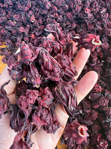 Bulk Hibiscus Flowers | Dried Herbs Dried Hibiscus Flowers Whole Flower Bulk Supply for Tea and Beverage Production - Product Image 1