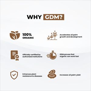 ปุ๋ยน้ำอินทรีย์ GDM สำหรับปาล์มน้ำมัน – เพิ่มผลผลิต บำรุงการเจริญเติบโต และเสริมสร้างความต้านทานของพืช - Product Image 3