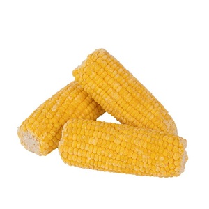 Maíz amarillo para el mercado internacional - Product Image 5