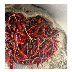 Chiles Rojos Picantes Secos al por Mayor para Distribuidores Internacionales de Ingredientes Alimenticios - Product Image 3