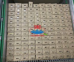 Proveedor de Raíz de Jengibre Fresco de Vietnam para Importadores Internacionales que Buscan Suministro a Granel a Largo Plazo - Product Image 5