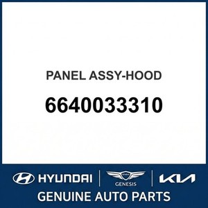 Panneaux de capot neufs Sonata 6640033310 - Product Image 1