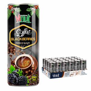 Café Arábica Helado 250ml VINUT 24 Latas por Caja OEM ODM Marca Privada Muestra Gratuita Sin OMG Sin Lácteos Sin Gluten Enfriado - Product Image 1