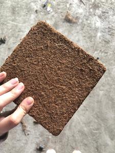Turba de Coco Biodegradable y Ecológica, Medio de Cultivo Orgánico al Mejor Precio - BLUE LOTUS de Vietnam - Product Image 2