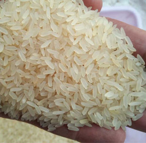 Arroz de Grano Corto Directo de Fábrica, Alto Rendimiento, No Pegajoso, Calidad Premium, Empaque a Granel para Restaurantes y Supermercados, Exportación - Product Image 6