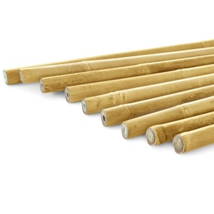 Caña de bambú natural cruda al por mayor para astas de bandera y pesca, buena calidad, suministro del productor - Product Image 1