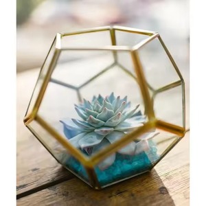 Terrarium en verre avec cadre métallique de qualité supérieure, élégant et géométrique, pour plantes d'intérieur, décoration de la maison - Product Image 1