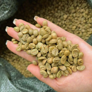 Factory Price Vietnam Organic Robusta Green Coffee <b>Beans</b> USDA Organic Low Defect 0.1% AA+ Grade Bulk Export TNFOOD 1000kg - Product Image 1