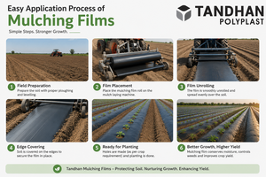 Film de paillage agricole TANDHAN noir/argenté en PE avec trous et maille de taille personnalisée pour la protection des cultures en serre - Product Image 6