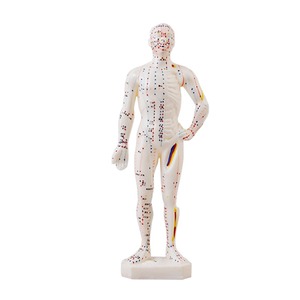 Muñeca Hangrim de 27cm, modelo de punto de acupuntura pequeño, muñeca de punto de acupuntura masculina, modelo de punto de acupuntura, pantalla de punto de acupuntura Hu - Product Image 1