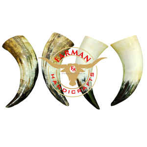 Petit ensemble de deux gobelets en corne de bœuf Viking faits à la main, en corne naturelle, pour un style nordique et médiéval, au meilleur prix - Product Image 2