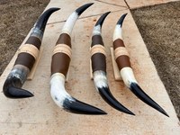 Paire de cornes de taureau polies à la main, de 29 et 35 pouces de large, au toucher naturel, forme authentique, style animalier, pour décoration intérieure